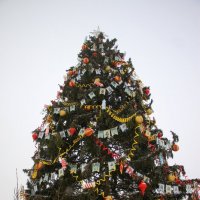 Ёлка на Якорной площади :: Наталья Герасимова