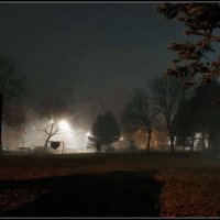 в тумане ноября :: Любовь 