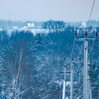 без названия :: fogmeadowww m