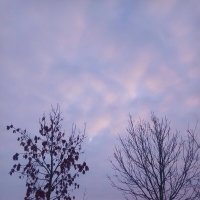 Закат :: Сапсан 