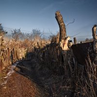 Тупик :: SanSan 