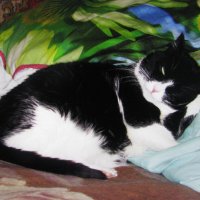 После прогулки :: Людмила Смородинская