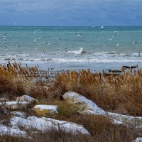 Берег :: Анатолий Чикчирный