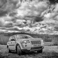 Freel на прогулке 2 :: Олег Загорулько