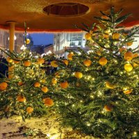 Московские ёлки :: skijumper Иванов