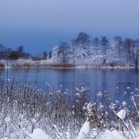 В окрестностях Калининграда :: Рита Симонова