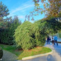 Адлер. Сочи Парк... :: Нина Бутко