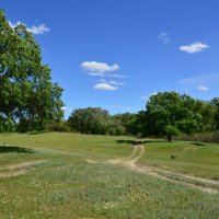 Донская степь. :: Виктор 