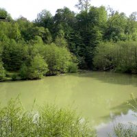 Озеро :: Tata Wolf