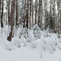 детский сад :: Владимир 