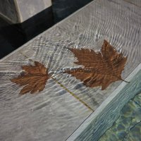 Листья в воде :: Евгений Поляков