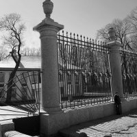 Ограда Летнего сада :: Наталья 
