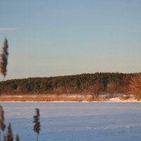 Прогулка к реке :: Prizrak 777