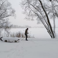 Про январь в непогоду :: Мария Васильева