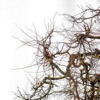 Напрягает - вид из окна Газпрома :: Sergei Vikulov