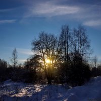 зима,Бокситогорск :: Laryan1 