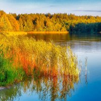 Вспоминая лето (Белоозёрск) :: Дмитрий Балашов