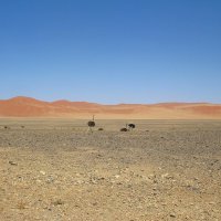 Это те самые, которых фиг догонишь! :: unix (Илья Утропов)