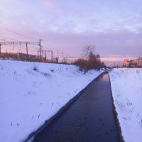 Утки :: Сапсан 