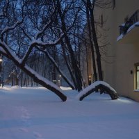 Сквер Андрея Петрова :: zavitok *