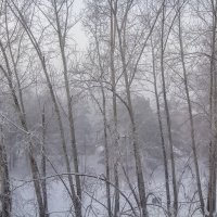 За окном всего -46 :: Владимир Кириченко