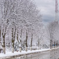 Оттепель :: Игорь Сикорский