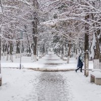 Шел мокрый снег :: Игорь Сикорский