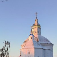 Морозное утро января. :: Ольга 