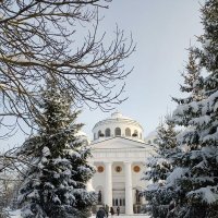 Софийский собор. :: Ольга 