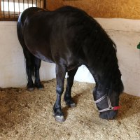 Заполярная ферма :: Ольга 