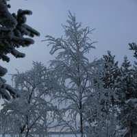 Зима у озера :: Ольга 