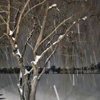 *** :: Валерий Ткаченко