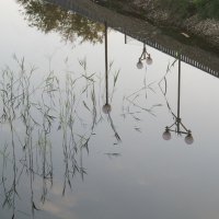 на набережной :: Елена Шаламова