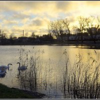 И такая зима :: Aleksandr Gal
