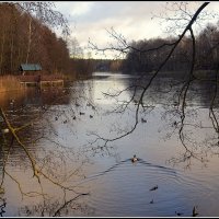 *** :: Aleksandr Gal