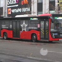 Аэроэкспресс :: Дмитрий Никитин