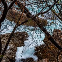 *** :: Дмитрий Лупандин