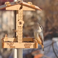 Эй вы там, наверху... :: Татьяна Бравая