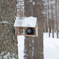 *** :: Андрей Дурапов