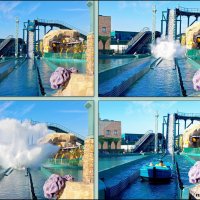 Адлер. Сочи Парк... :: Нина Бутко