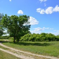 Мои дороги. :: Виктор 