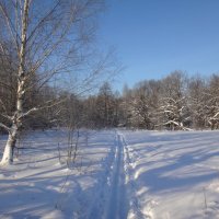 Кто куда, а мы на лыжах ) :: Андрей Зайцев