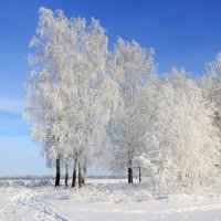 Зима чародейка. :: Сергей 