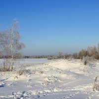 Зима :: Сергей 