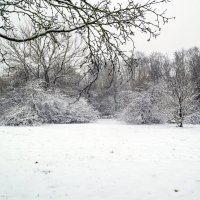 *** :: Игорь Протасов