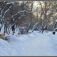 В парке :: Ольга Довженко