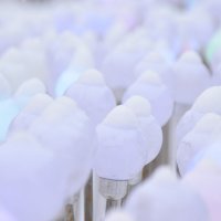 Снежность. :: Наталья Вязигина