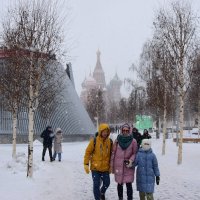 Прогулки в парке Зарядье. :: Наталья Вязигина