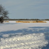 Январь. Сегодня. :: Владимир 