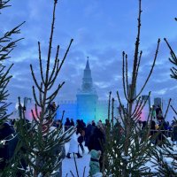 Новогодний парк :: Александр Конов